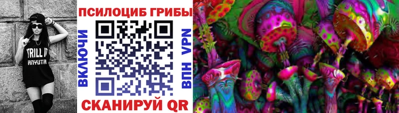 Галлюциногенные грибы Psilocybine cubensis  KRAKEN ссылки  Урус-Мартан 