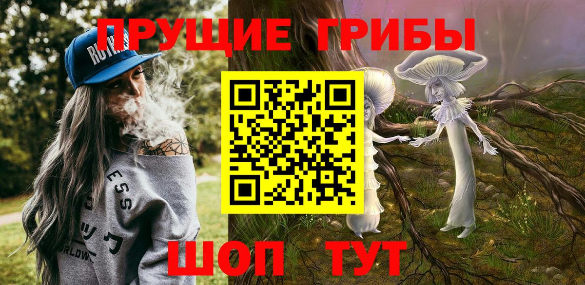 Урус-Мартан  Псилоцибиновые грибы мицелий  Вход с VPN 